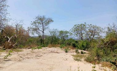 LOTE CAMPESTRE CASA CAMPO