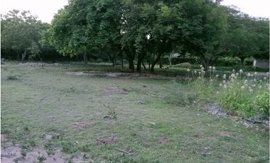 LOTE CAMPESTRE BONDA