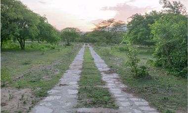 LOTE CAMPESTRE BONDA