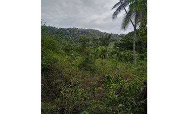 Terreno Campestre en Venta