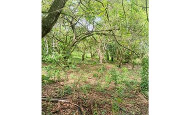 Terreno Campestre en Venta