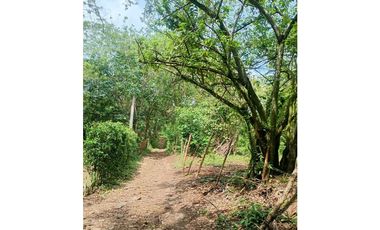 Terreno Campestre en Venta