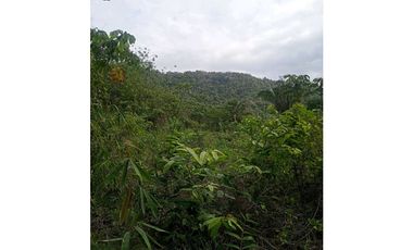 Terreno Campestre en Venta