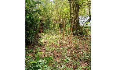 Terreno Campestre en Venta