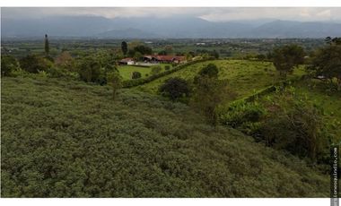 VENTA SEIS LOTES PARA VIVIENDA CAMPESTRE EN MONTENEGRO QUINDIO