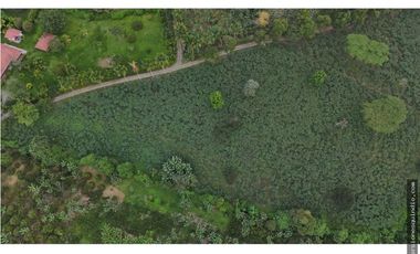 VENTA SEIS LOTES PARA VIVIENDA CAMPESTRE EN MONTENEGRO QUINDIO