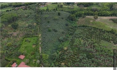 VENTA SEIS LOTES PARA VIVIENDA CAMPESTRE EN MONTENEGRO QUINDIO