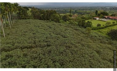 VENTA SEIS LOTES PARA VIVIENDA CAMPESTRE EN MONTENEGRO QUINDIO