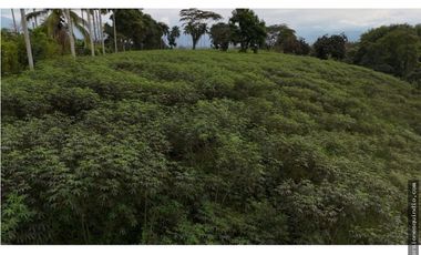 VENTA SEIS LOTES PARA VIVIENDA CAMPESTRE EN MONTENEGRO QUINDIO