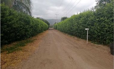 LOTE CAMPESTRE VILLA LAURA