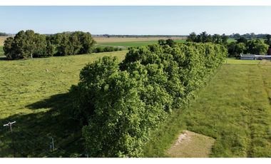 Campo de 85 Has. en venta, con Casco Antiguo en Ranchos.