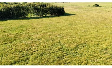 Campo de 85 Has. en venta, con Casco Antiguo en Ranchos.