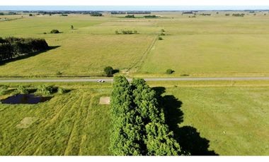 Campo de 85 Has. en venta, con Casco Antiguo en Ranchos.