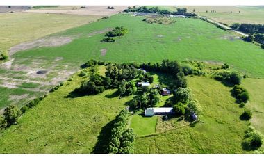 Campo de 85 Has. en venta, con Casco Antiguo en Ranchos.