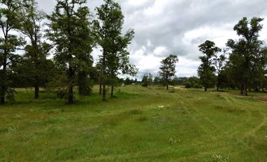 Parcela en venta en OSORNO