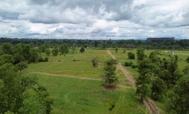 Parcela en venta en OSORNO