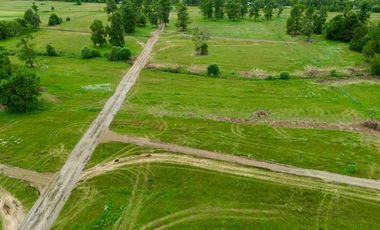 Parcela en venta en OSORNO