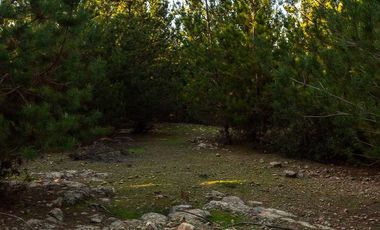 Parcela en venta en CHEPICA