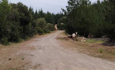 Parcela en venta en CHEPICA