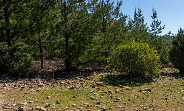 Parcela en venta en CHEPICA