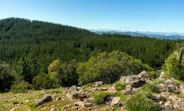 Parcela en venta en CHEPICA