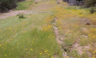 Parcela en venta en CHEPICA