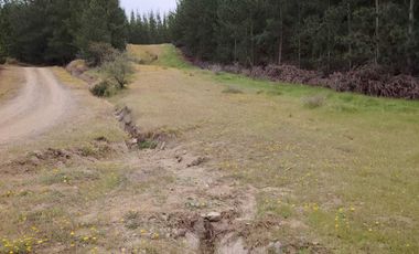 Parcela en venta en CHEPICA