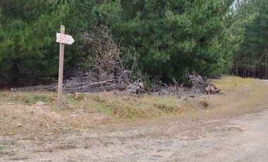 Parcela en venta en CHEPICA