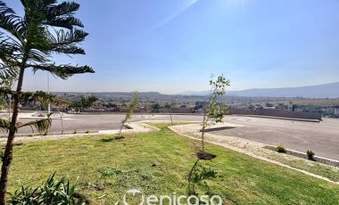 Departamento nuevo en renta en Colinas del Valle