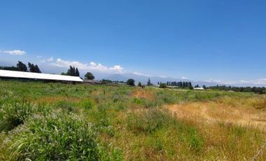 PARCELA EN VENTA 5000M2 EN GRANEROS