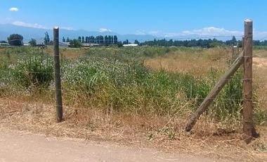 PARCELA EN VENTA 5000M2 EN GRANEROS