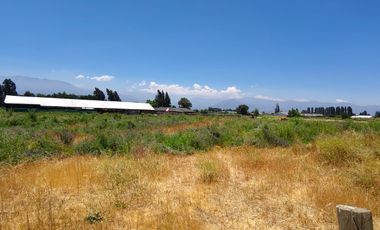 PARCELA EN VENTA 5000M2 EN GRANEROS