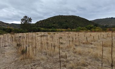 5000M2 FRENTE A LAGUNA QUERQUEL TALCA