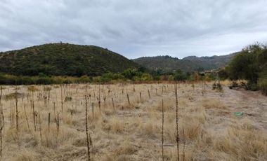 5000M2 FRENTE A LAGUNA QUERQUEL TALCA