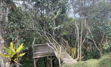 VENTA de CASA CAMPESTRE en MedellÃ­n