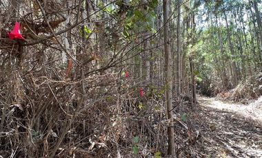 Venta terreno El Recodo - San Pedro de la Paz