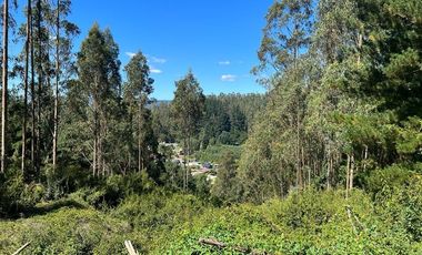 Venta terreno El Recodo - San Pedro de la Paz