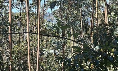 Venta terreno El Recodo - San Pedro de la Paz