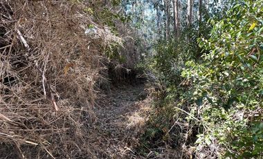 Venta terreno El Recodo - San Pedro de la Paz