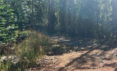 Venta terreno El Recodo - San Pedro de la Paz