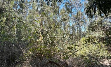 Venta terreno El Recodo - San Pedro de la Paz