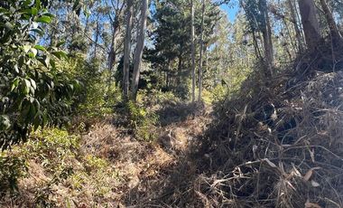 Venta terreno El Recodo - San Pedro de la Paz