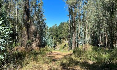 Venta terreno El Recodo - San Pedro de la Paz