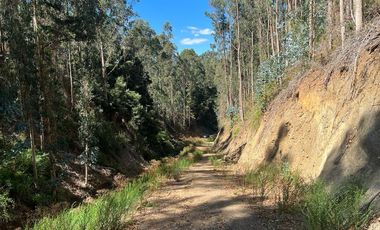 Venta terreno El Recodo - San Pedro de la Paz