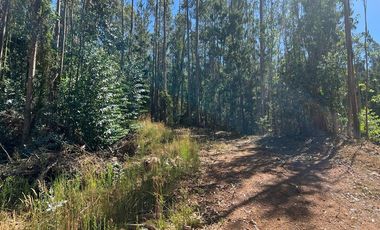 Venta terreno El Recodo - San Pedro de la Paz