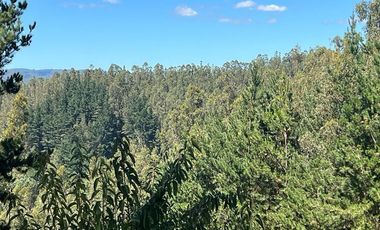 Venta terreno El Recodo - San Pedro de la Paz