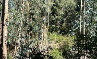 Venta terreno El Recodo - San Pedro de la Paz