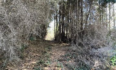 Venta terreno El Recodo - San Pedro de la Paz