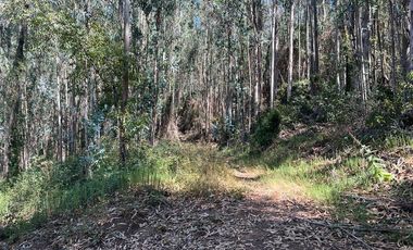 Venta terreno El Recodo - San Pedro de la Paz
