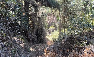 Venta terreno El Recodo - San Pedro de la Paz